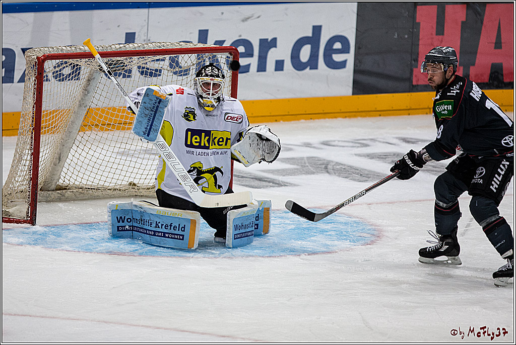 Koelner Haie - Krefelder Pinguine, 22.11.2016